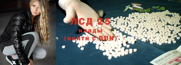 СК Бронницы