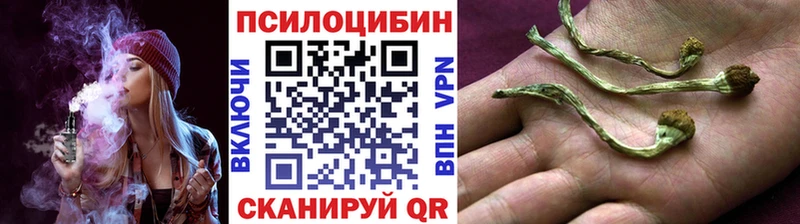 Купить Котовск Галлюциногенные грибы GOLDEN TEACHER